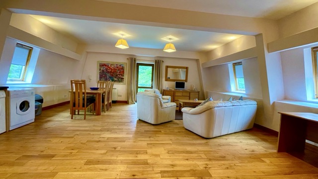 Large open-plan apartment living space with dining area